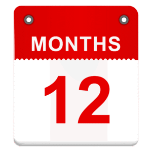 12 Month Subscription