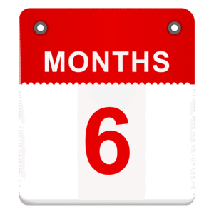 6 Months Subscription